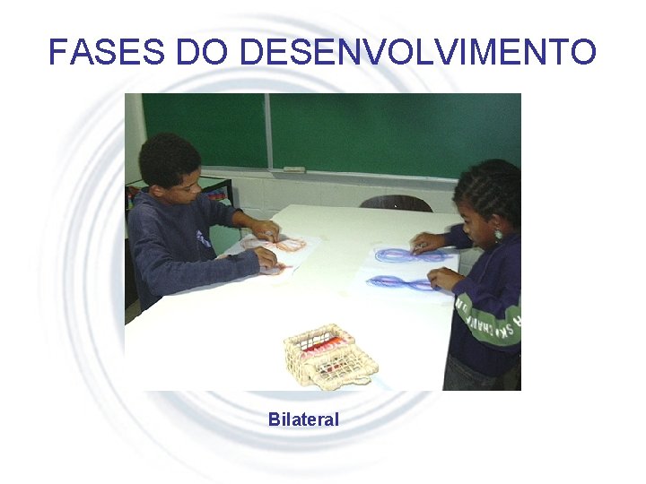 FASES DO DESENVOLVIMENTO Bilateral 