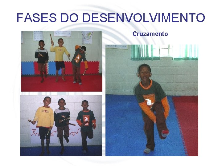FASES DO DESENVOLVIMENTO Cruzamento 