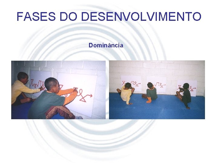 FASES DO DESENVOLVIMENTO Dominância 