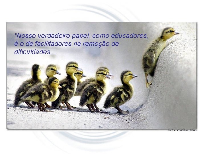 “Nosso verdadeiro papel, como educadores, é o de facilitadores na remoção de dificuldades. .