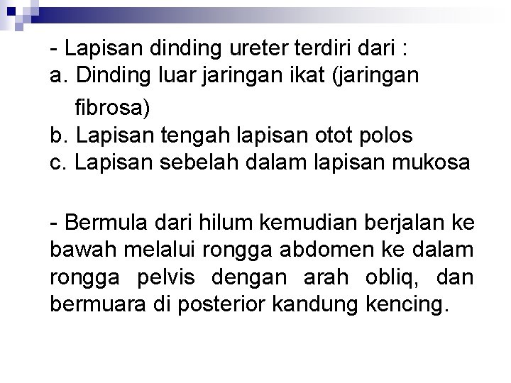 - Lapisan dinding ureter terdiri dari : a. Dinding luar jaringan ikat (jaringan fibrosa)