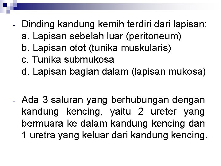 - Dinding kandung kemih terdiri dari lapisan: a. Lapisan sebelah luar (peritoneum) b. Lapisan