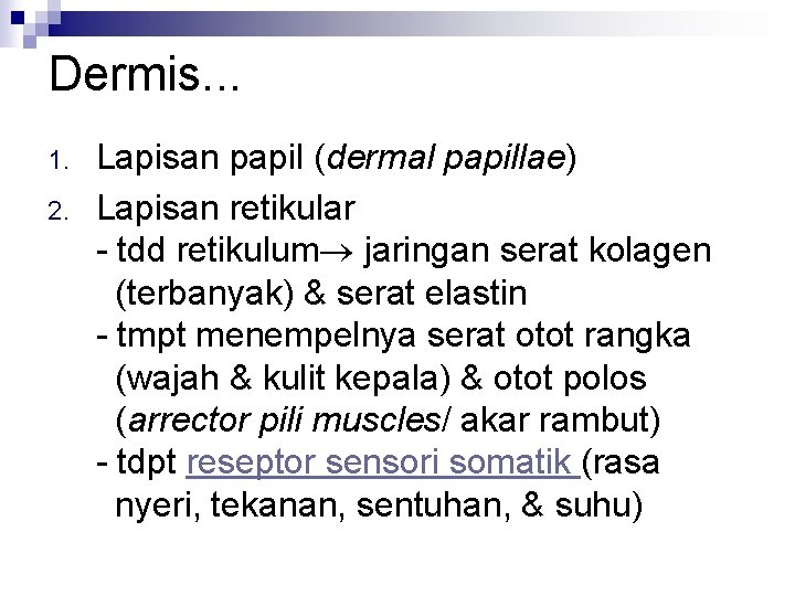 Dermis. . . 1. 2. Lapisan papil (dermal papillae) Lapisan retikular - tdd retikulum