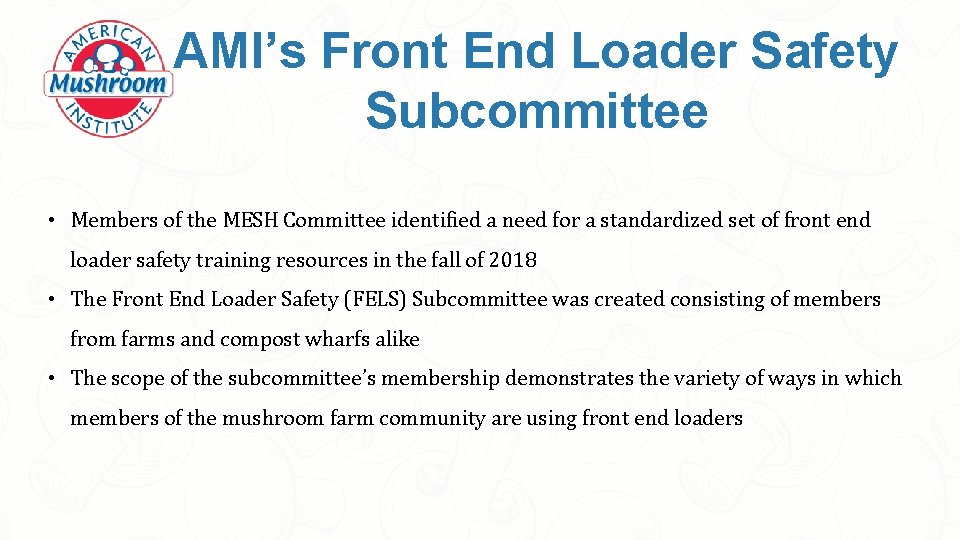 AMI’s Front End Loader Safety Subcommittee • Members of the MESH Committee identified a
