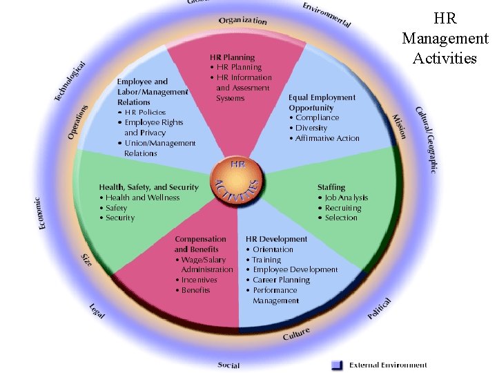 HR Management Activities 