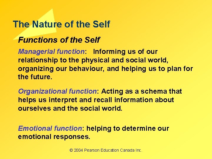 The Nature of the Self Functions of the Self Managerial function: Informing us of The Nature of the Self Functions of the Self Managerial function: Informing us of