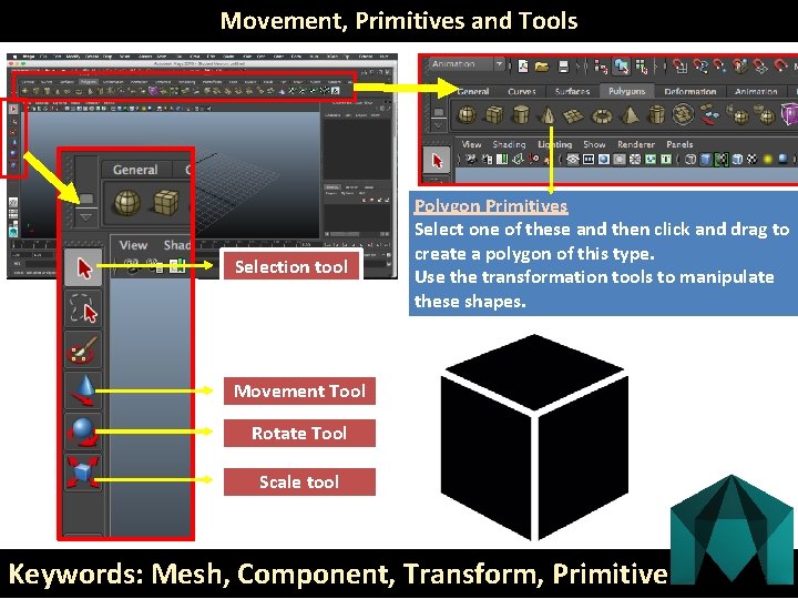 Movement, Primitives and Tools Selection tool Polygon Primitives Select one of these and then