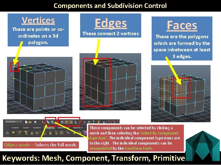 Components and Subdivision Control Vertices These are points or coordinates on a 3 d