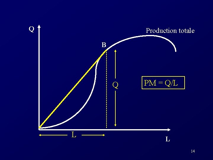 Q Production totale B Q L PM = Q/L L 14 