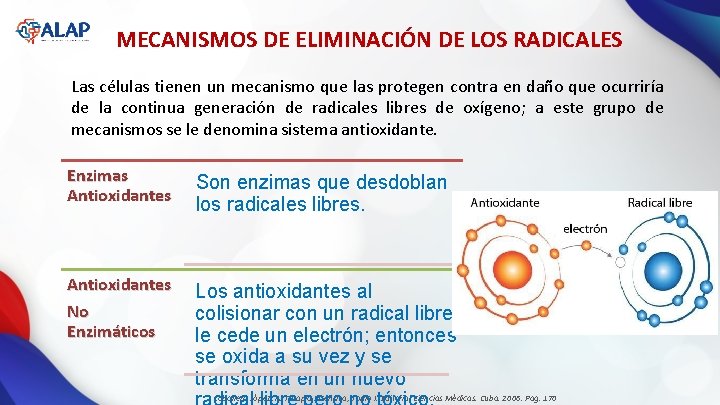 MECANISMOS DE ELIMINACIÓN DE LOS RADICALES Las células tienen un mecanismo que las protegen