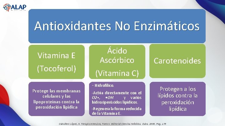 Antioxidantes No Enzimáticos Vitamina E (Tocoferol) Protege las membranas celulares y las lipoproteínas contra