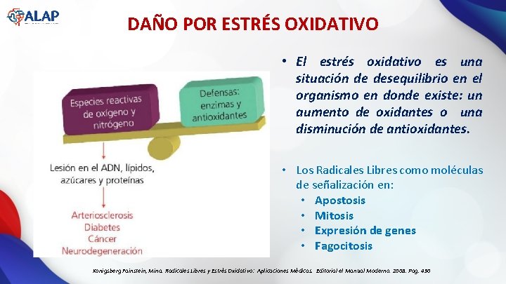 DAÑO POR ESTRÉS OXIDATIVO • El estrés oxidativo es una situación de desequilibrio en