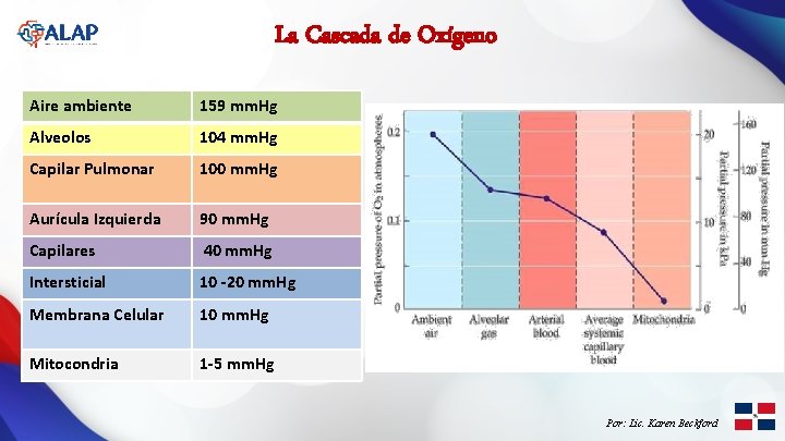 La Cascada de Oxígeno Aire ambiente 159 mm. Hg Alveolos 104 mm. Hg Capilar