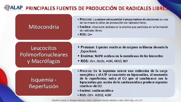 PRINCIPALES FUENTES DE PRODUCCIÓN DE RADICALES LIBRES • Proceso: La cadena mitocondrial transportadora de