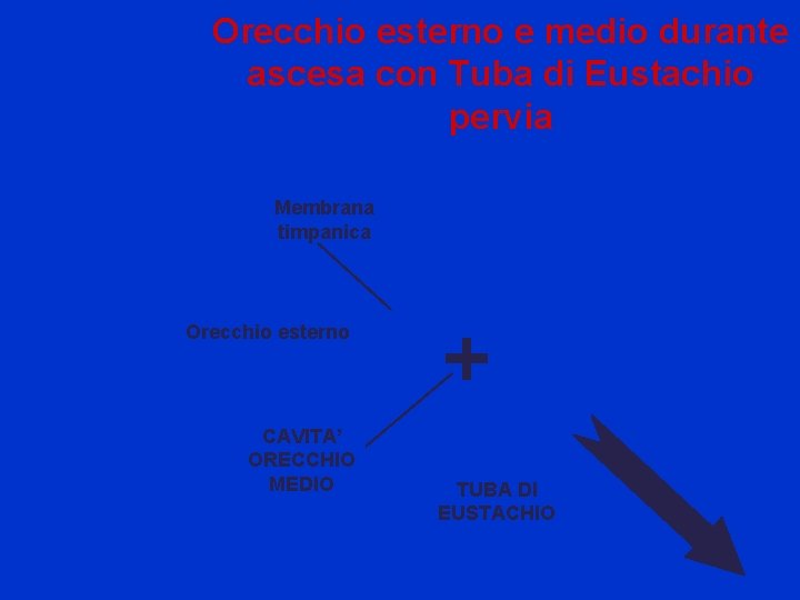 Orecchio esterno e medio durante ascesa con Tuba di Eustachio pervia Membrana timpanica Orecchio