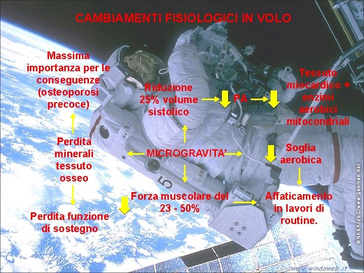 CAMBIAMENTI FISIOLOGICI IN VOLO Massima importanza per le conseguenze (osteoporosi precoce) Riduzione 25% volume