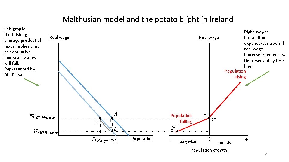 Malthusian model and the potato blight in Ireland Left graph: Diminishing average product of