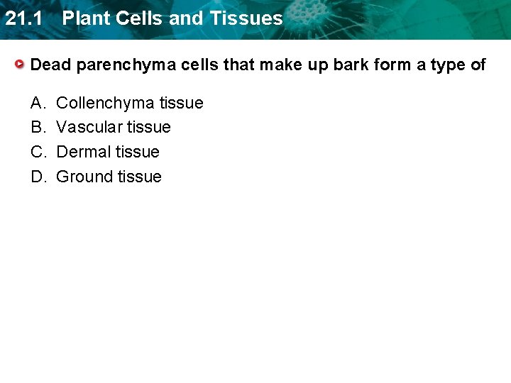 21. 1 Plant Cells and Tissues Dead parenchyma cells that make up bark form