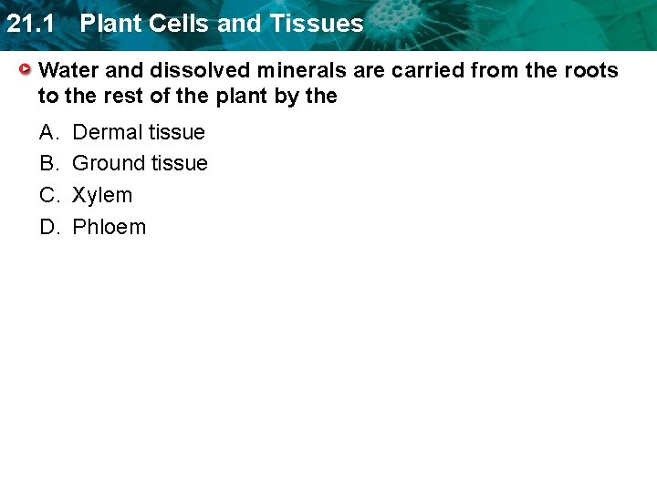 21. 1 Plant Cells and Tissues Water and dissolved minerals are carried from the