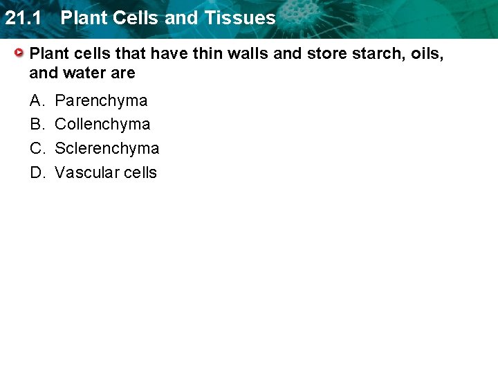 21. 1 Plant Cells and Tissues Plant cells that have thin walls and store