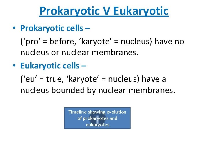 Prokaryotic V Eukaryotic • Prokaryotic cells – (‘pro’ = before, ‘karyote’ = nucleus) have