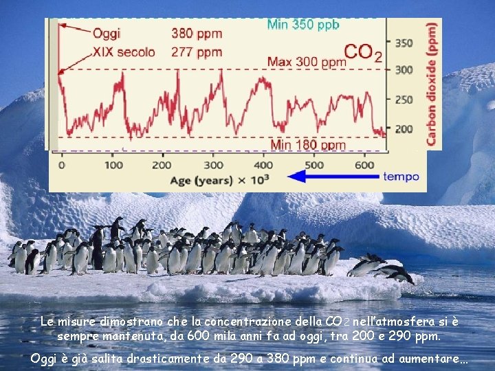Le misure dimostrano che la concentrazione della CO 2 nell’atmosfera si è sempre mantenuta,