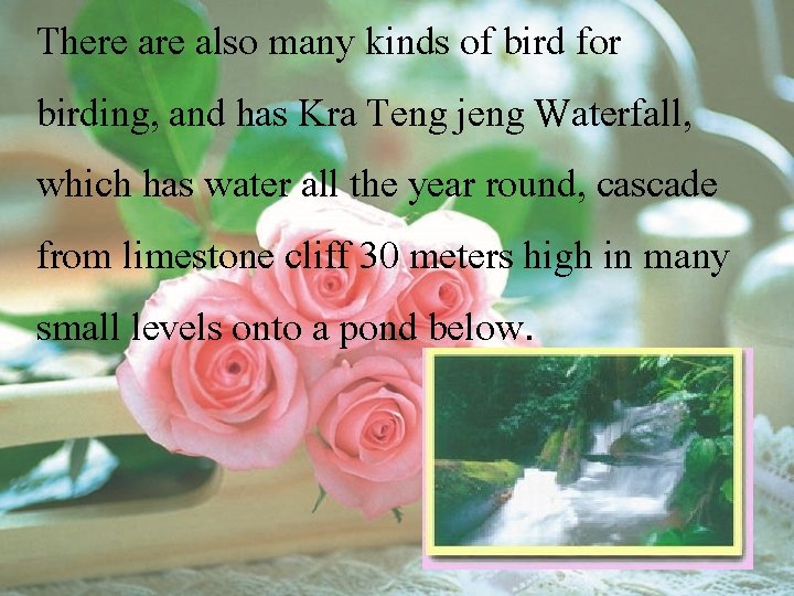 There also many kinds of bird for birding, and has Kra Teng jeng Waterfall,