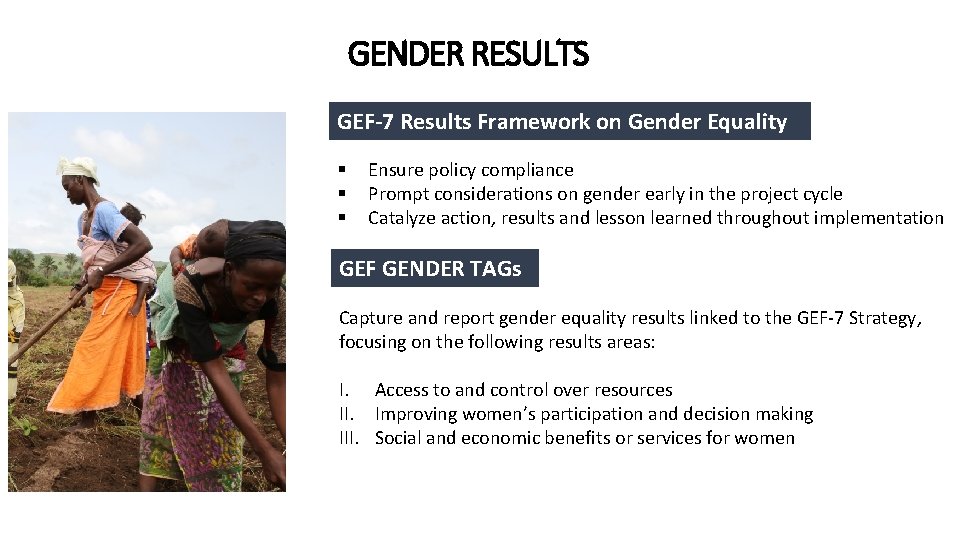 GENDER RESULTS GEF-7 Results Framework on Gender Equality § § § Ensure policy compliance GENDER RESULTS GEF-7 Results Framework on Gender Equality § § § Ensure policy compliance