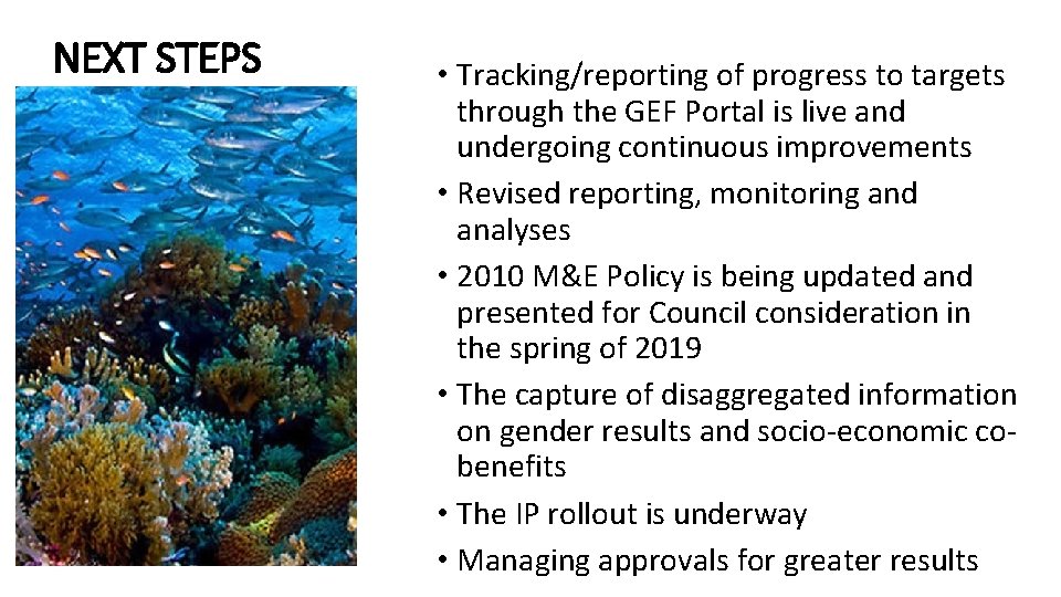 NEXT STEPS • Tracking/reporting of progress to targets through the GEF Portal is live NEXT STEPS • Tracking/reporting of progress to targets through the GEF Portal is live