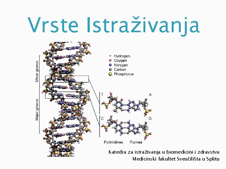 Vrste Istraživanja Katedra za istraživanja u biomedicini i zdravstvu Medicinski fakultet Sveučilišta u Splitu