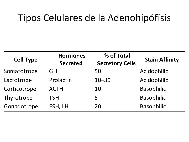 Tipos Celulares de la Adenohipófisis Cell Type Somatotrope Lactotrope Corticotrope Thyrotrope Gonadotrope Hormones Secreted