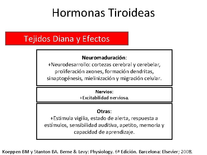 Hormonas Tiroideas Tejidos Diana y Efectos Neuromaduración: +Neurodesarrollo: cortezas cerebral y cerebelar, proliferación axones,