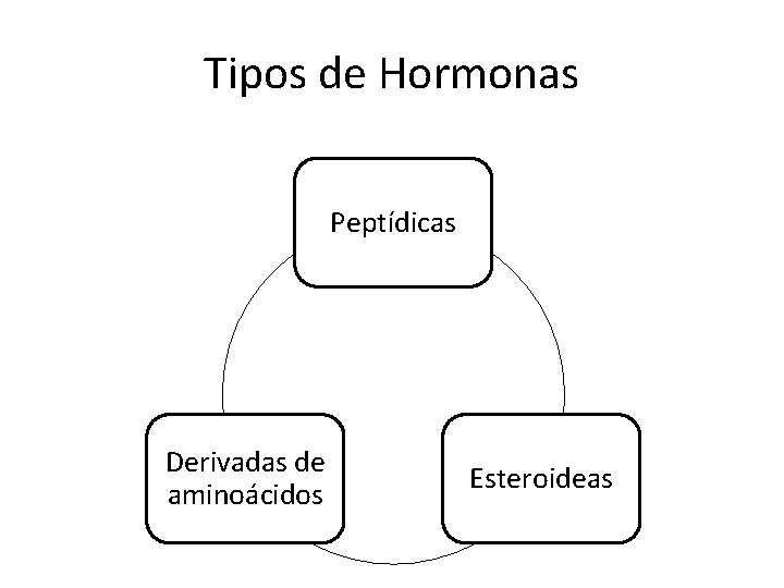 Tipos de Hormonas Peptídicas Derivadas de aminoácidos Esteroideas 