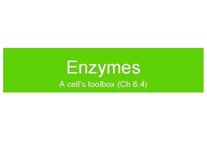Enzymes A cell’s toolbox (Ch 6. 4) 