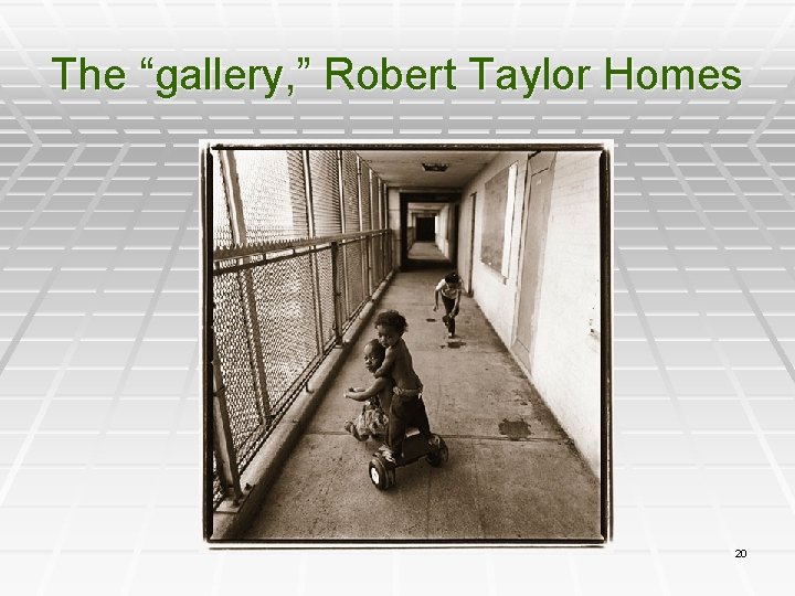 The “gallery, ” Robert Taylor Homes 20 