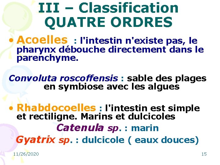 III – Classification QUATRE ORDRES • Acoelles : l'intestin n'existe pas, le pharynx débouche