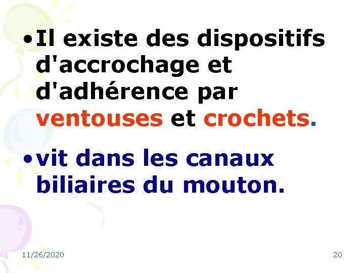  • Il existe des dispositifs d'accrochage et d'adhérence par ventouses et crochets. •