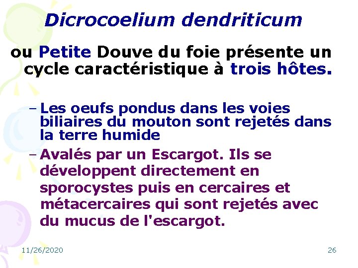 Dicrocoelium dendriticum ou Petite Douve du foie présente un cycle caractéristique à trois hôtes.