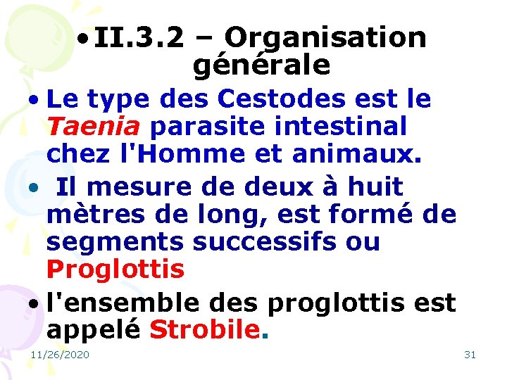  • II. 3. 2 – Organisation générale • Le type des Cestodes est