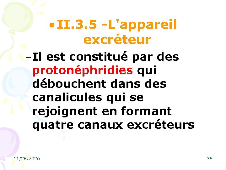  • II. 3. 5 -L'appareil excréteur –Il est constitué par des protonéphridies qui