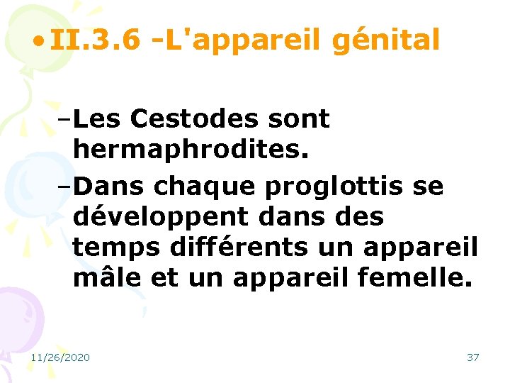  • II. 3. 6 -L'appareil génital –Les Cestodes sont hermaphrodites. –Dans chaque proglottis