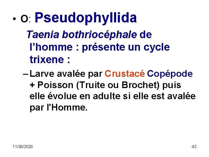  • O: Pseudophyllida Taenia bothriocéphale de l’homme : présente un cycle trixene :