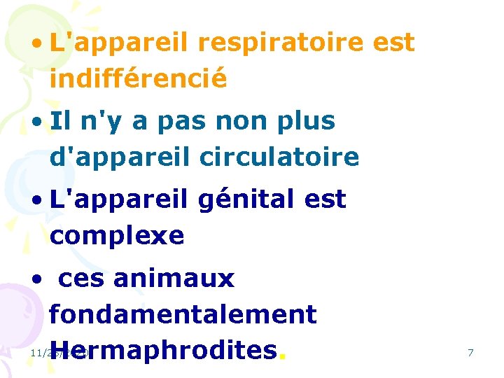  • L'appareil respiratoire est indifférencié • Il n'y a pas non plus d'appareil