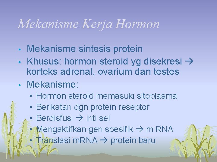 Mekanisme Kerja Hormon • • • Mekanisme sintesis protein Khusus: hormon steroid yg disekresi