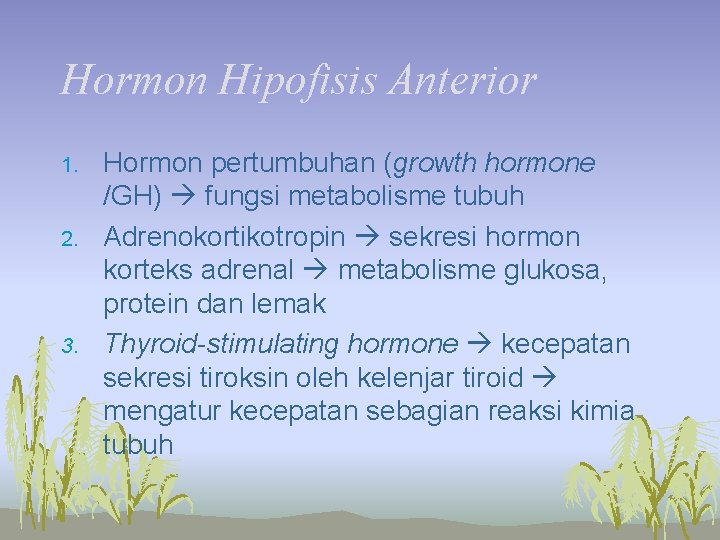 Hormon Hipofisis Anterior 1. 2. 3. Hormon pertumbuhan (growth hormone /GH) fungsi metabolisme tubuh