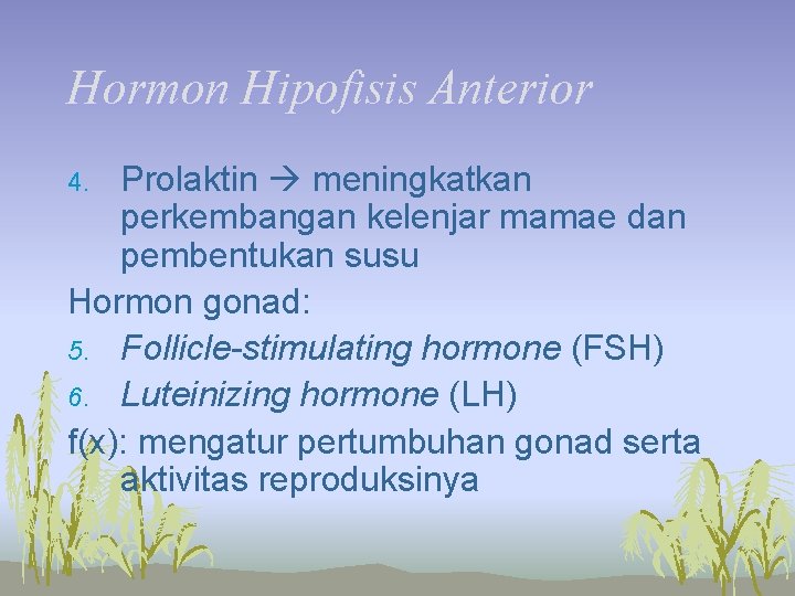 Hormon Hipofisis Anterior Prolaktin meningkatkan perkembangan kelenjar mamae dan pembentukan susu Hormon gonad: 5.