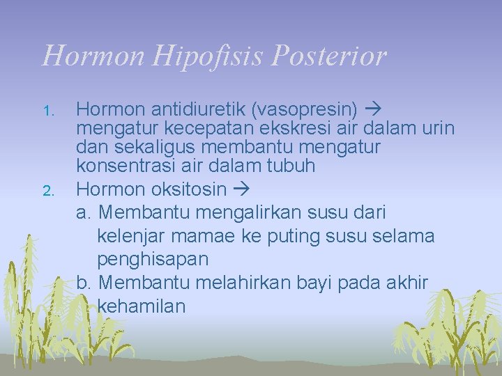 Hormon Hipofisis Posterior 1. 2. Hormon antidiuretik (vasopresin) mengatur kecepatan ekskresi air dalam urin