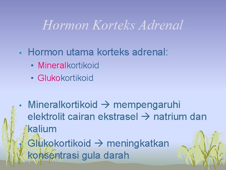 Hormon Korteks Adrenal • Hormon utama korteks adrenal: • Mineralkortikoid • Glukokortikoid • •