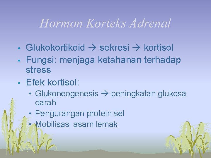 Hormon Korteks Adrenal • • • Glukokortikoid sekresi kortisol Fungsi: menjaga ketahanan terhadap stress