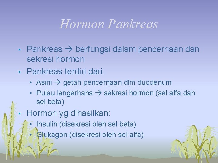 Hormon Pankreas • • Pankreas berfungsi dalam pencernaan dan sekresi hormon Pankreas terdiri dari: